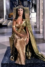 ELIZABETH TAYLOR CLEOPATRA High Quality Metal Fridge Magnet 2.7x4 8011