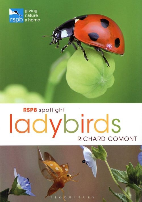 Ladybirds