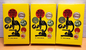 Prepared Microscope Slides - SET of 36 - Tiny Creatures - Plant Life- Sea Life