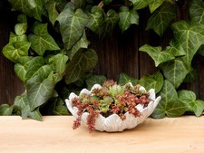 Blumentopf Pflanzgefass Pflanztopf Holzgefass Holzdeko Gartendeko Wohndeko Ebay