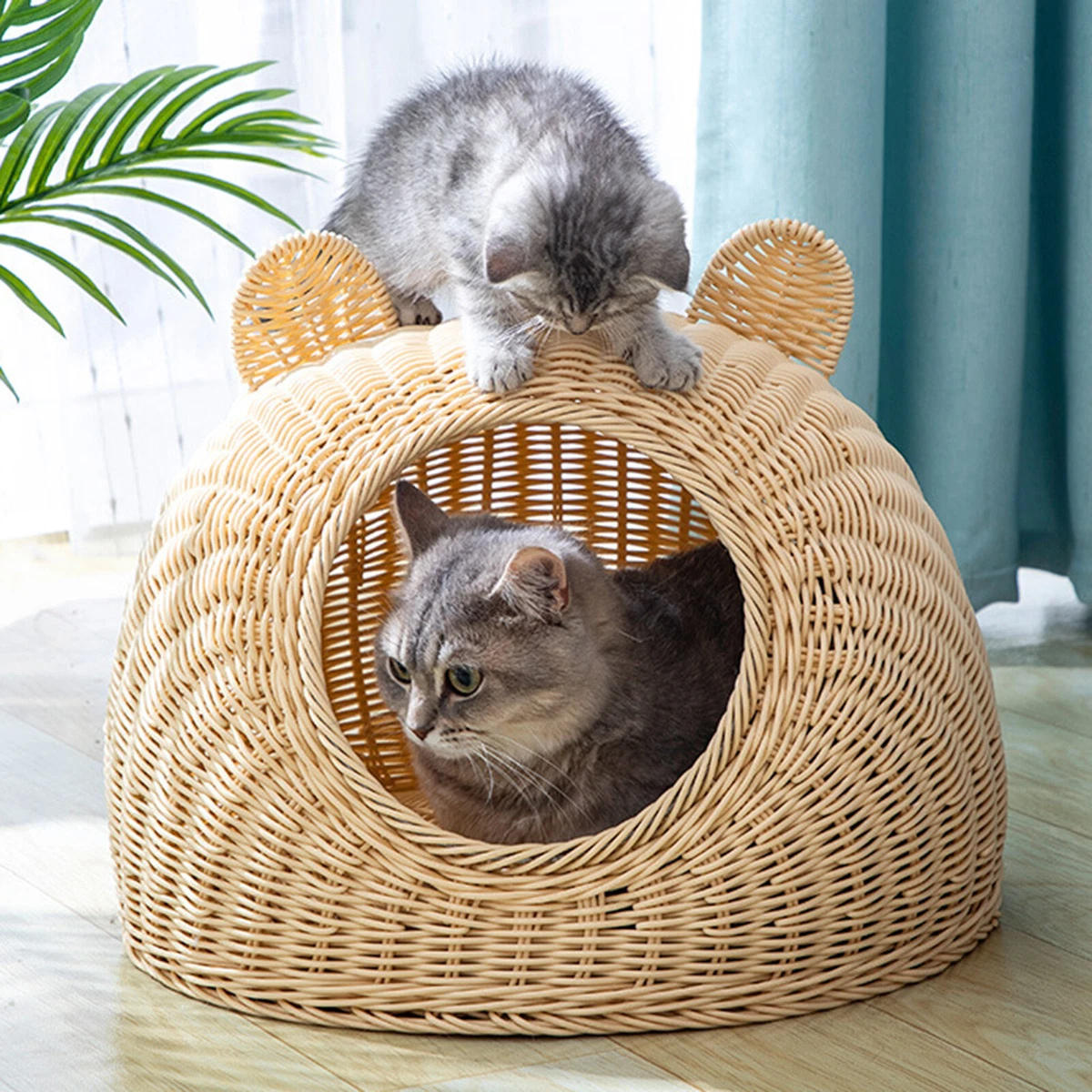 Flat clearance cat bed