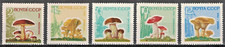 RUSSIA,USSR:1964 SC#2963-67 (glossy) MNH Mushrooms AS326