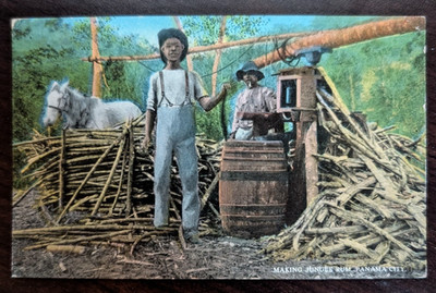 Making Jungle Rum Panama City Horse Cane Press Vintage Postcard