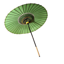 Japanese Wagasa Bamboo Umbrella Green Geisha Maiko Dance Prop Detachable WO509