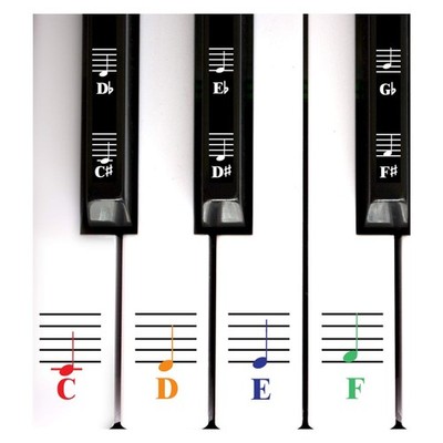 QMG Color Piano and Keyboard Music Note Full Set Stickers for White and Black...