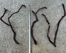 Manzanita Bird Perches Set of 3 Multi Branch-cheap Store Or Display New Unused