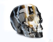 2.0" Black Zebra Agate Hand Carved Crystal Skull, Realistic, Crystal Healing