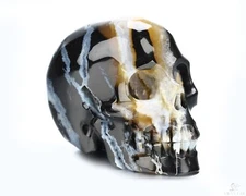 2.0" Black Zebra Agate Hand Carved Crystal Skull, Realistic, Crystal Healing