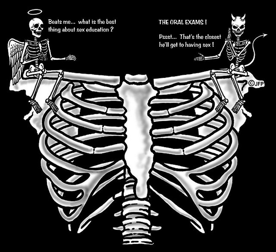 CAMISETA DIVERTIDA ÁNGEL DIABLO EXAMEN ORAL MEJOR EDUCACIÓN SEXUAL ESQUELETO CAJA TORÁCICA CALAVERA