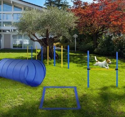 Backyard Dog Agility Training Kit Obstacle Course Equipment Jumps Tunnel