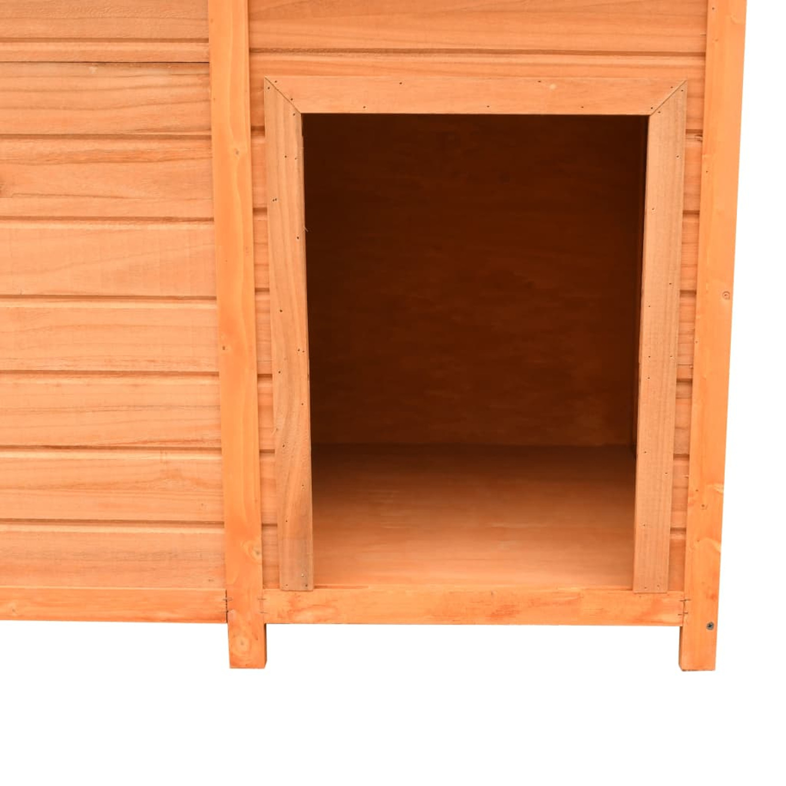 Picture 6 of 12