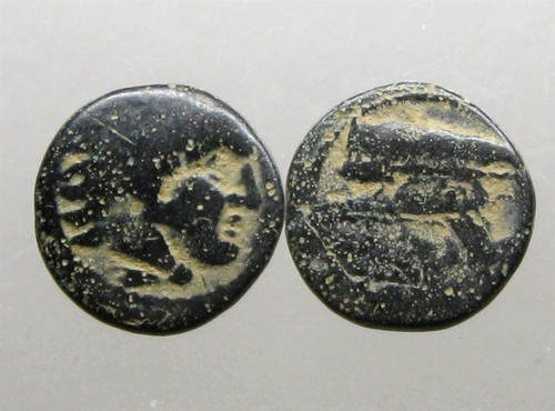 ALEXANDER III THE GREAT AE15________Ancient Macedonia_________CLUB & BOWCASE