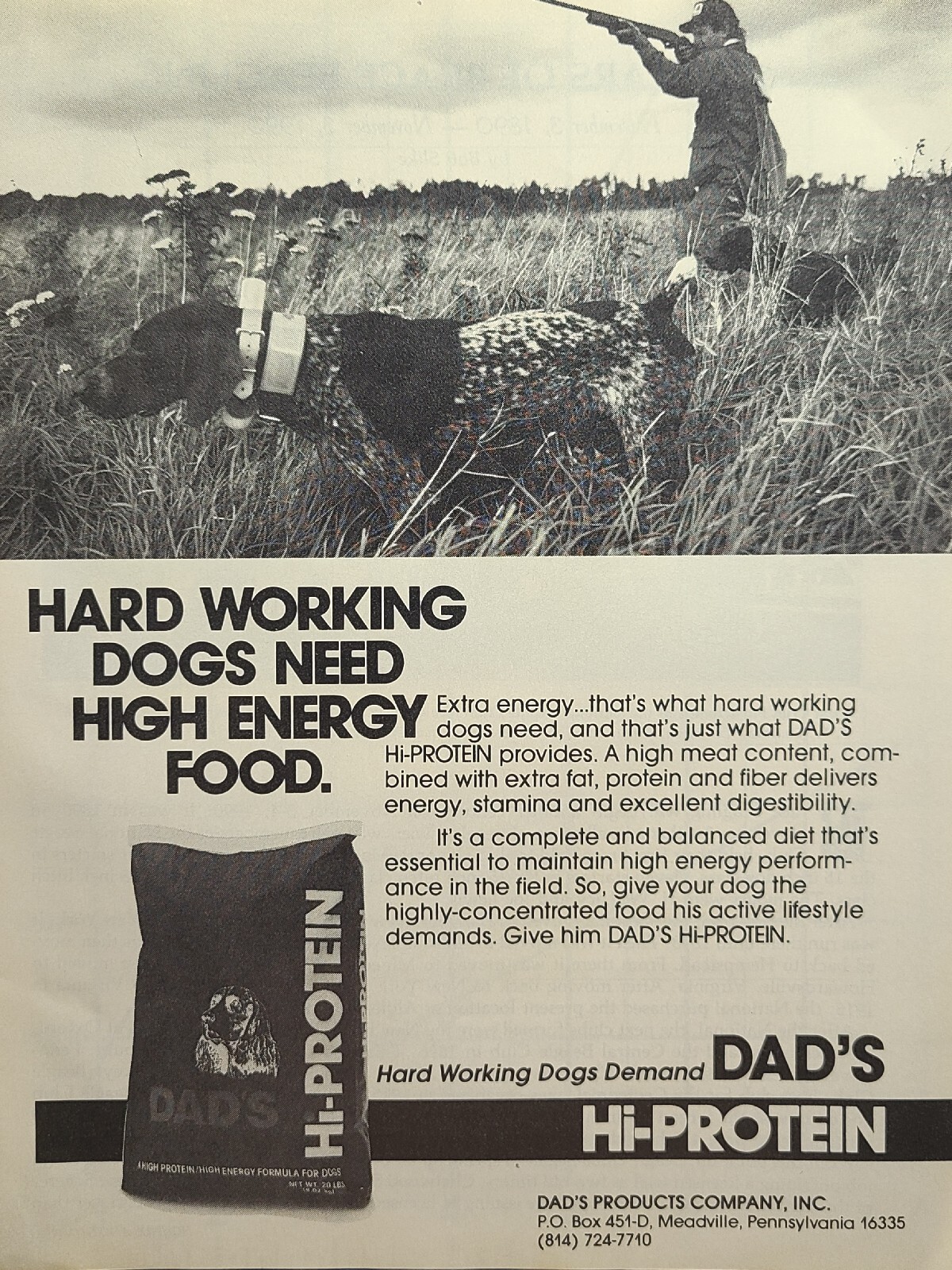 Meadville Pennsylvania Vintage Print Ad 1990