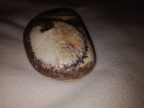 Pet Rock Cat Blue Eyes 6 3/4" Length 4" Width - Picture 7 of 7