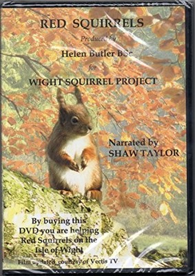 Red Squirrels
