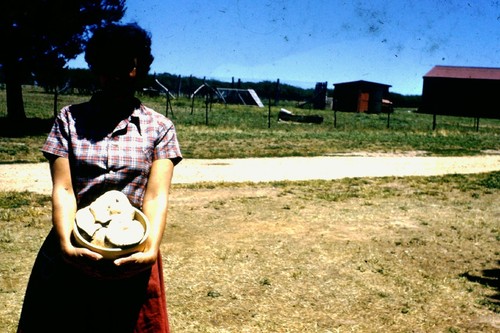 BUNGARBY-"PINELEIGH"-NSW 1956 FAMILY 35MM COLOUR SLIDES X 12 (B)--FREE POSTAGE - Picture 12 of 12