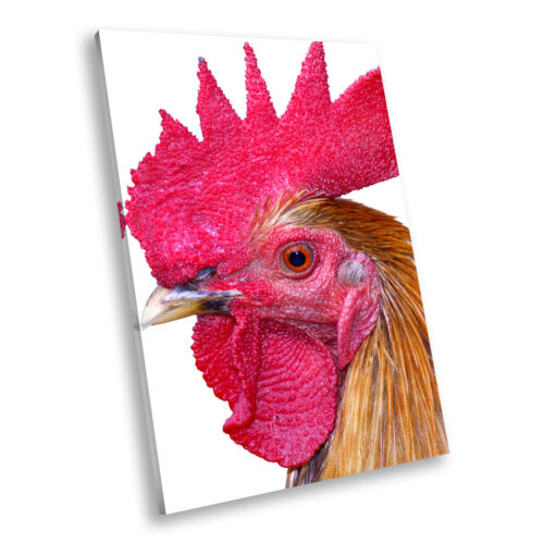 Brown Rooster Chicken Hen  Portrait Animal Canvas Wall Art Picture Prints - Bild 1 von 7