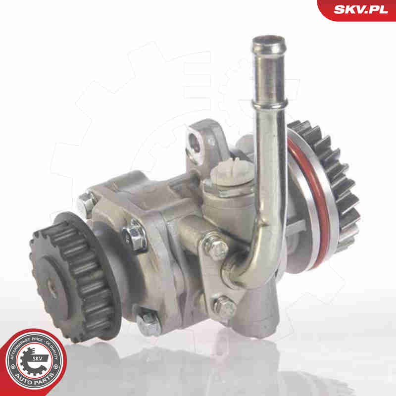 Fits SKV GERMANY 10SKV131 POWER STEERING PUMP
