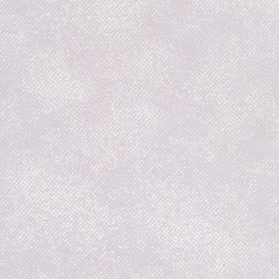 Timeless Treasures Silver Blender Quilting Cotton Fabric Gray White By the Yard