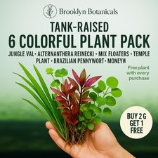 MIXED PLANT FREE SHIPPING