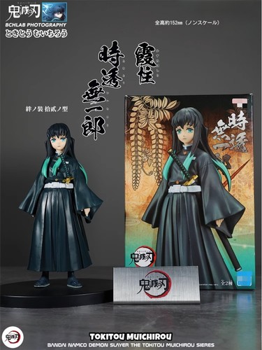 Official Demon Slayer Tokitou Muichirou Figure Toy Collectible Model w/Nameplate - Picture 13 of 24