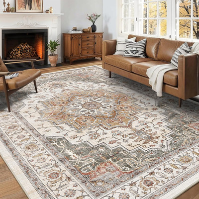 5X7 Area Rugs for Living Room Ultra-Soft Washable Rug Vintage Distressed Boho Ar