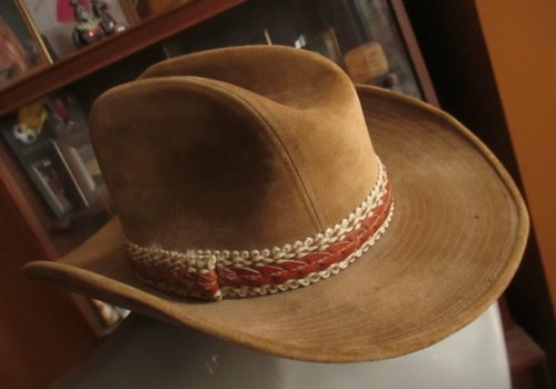 YA Beige Tan Fake Suede Longhorn Ranch 