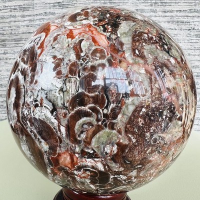 Natural Money agate Crystal Sphere Ball healing 6.44LB