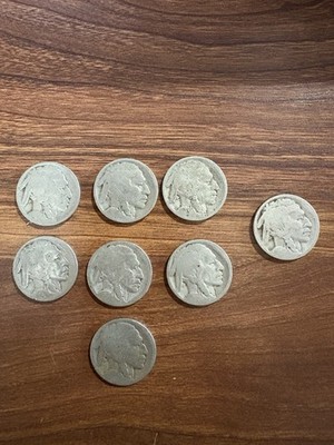 1913-D Type 1 Buffalo Nickel Mound Variety + 7 Dateless Indian Head Nickel Lot