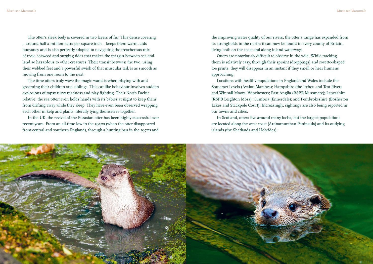 Thumbnail - The Nature Lover's Bucket List | Britain's Unmissable Wildlife |