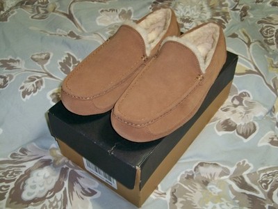 UGG Ascot Slippers Shoes Chestnut 1101110 Men's US Size 10 - NEW!