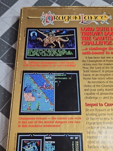 Advanced Dungeons & Dragons: Death Knights of Krynn 1991 IBM 3.5 One Disc GUC - Bild 11 von 20
