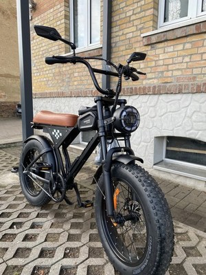 E Bike EB5 250W