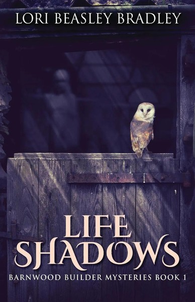 Life Shadows Lori Beasley Bradley Taschenbuch Kartoniert / Broschiert Englisch-image