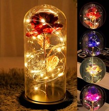 Christmas Rose Gift for Women Mom Girlfriend Wife Valentines Birthday Presents