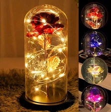 Christmas Rose Gift for Women Mom Girlfriend Wife Valentines Birthday Presents