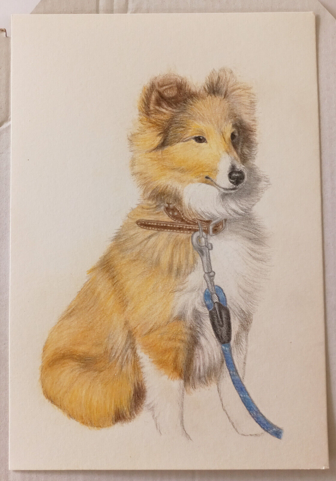 Portrait d'animal personnalisé dessin au crayon à partir d'une photo croquis canin cadeau de famille - Photo 12 sur 15