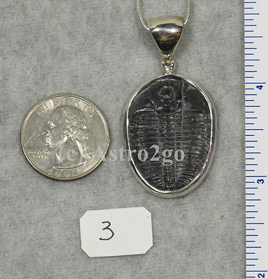 Elrathia Kingii TRILOBITE PENDANT $99 Sterling Silver Jewelry STARBORN CREATIONS