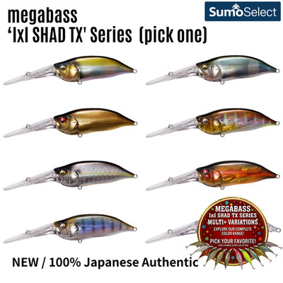 MEGABASS ''IxI SHAD TX'' Series NEW Japan (Pick One)