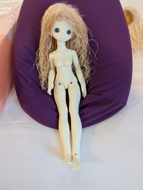 Shuga Doll MSD BJD Box And COA From Company NS Skin, No Face Up