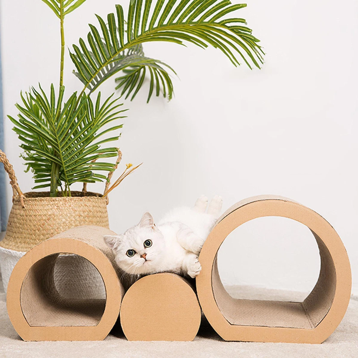 Cat scratcher clearance tunnel