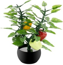 Quirky / different  Plant Seasoning Organiser 4 Salt Pepper Spice Shakers