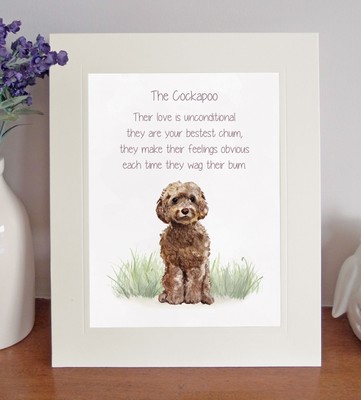 cockapoo presents