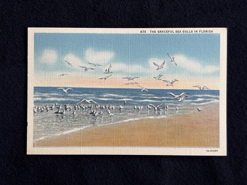 The Graceful SEA GULLS on FLORIDA Beach linen Postcard c1940s Era