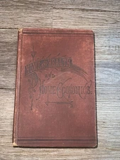 Antique 1880 Home And Health And Home Economics C. H. Fowler  