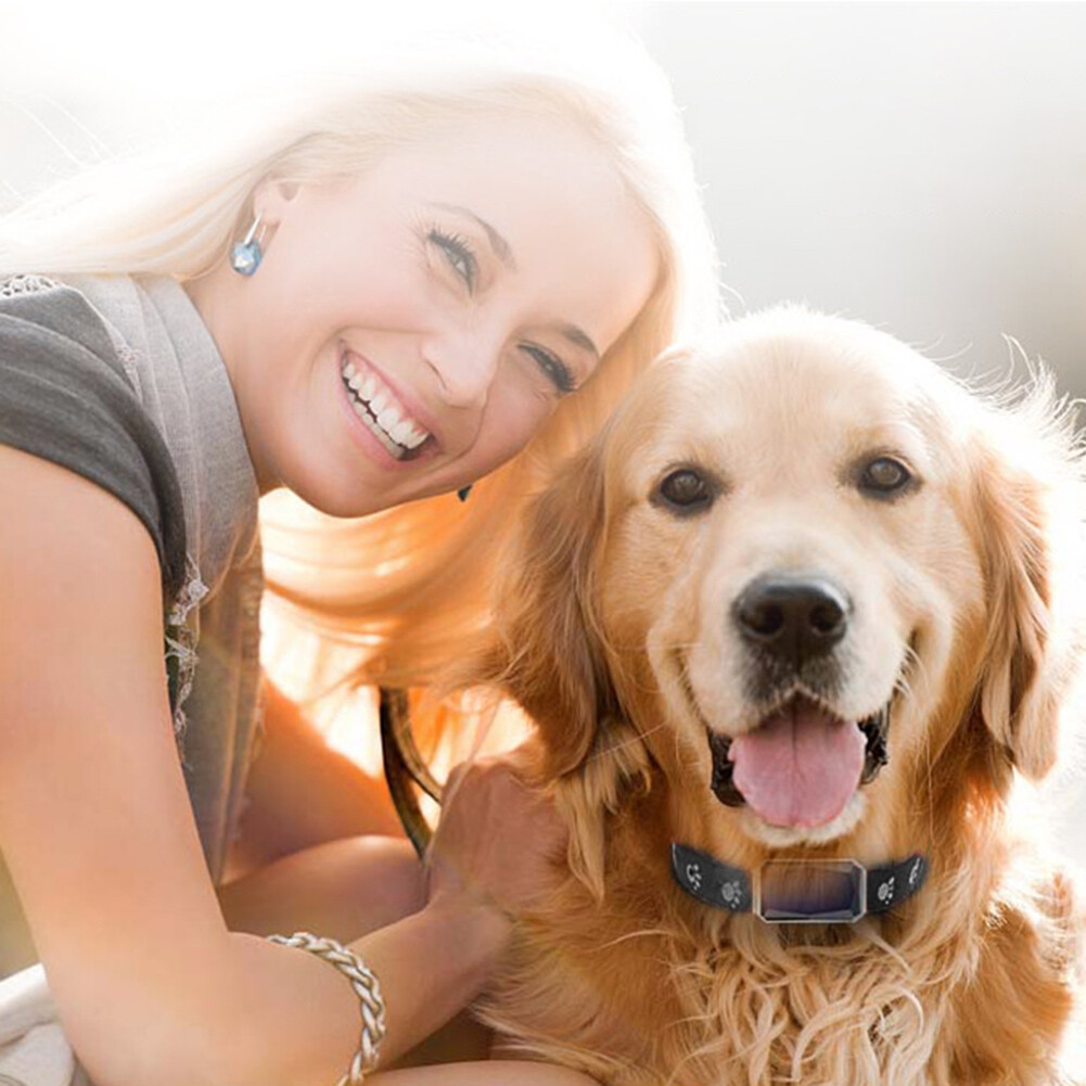 Étanche GPS AGPS LBS WiFi Tracker AntiPerte Chien Chat Collier Pet