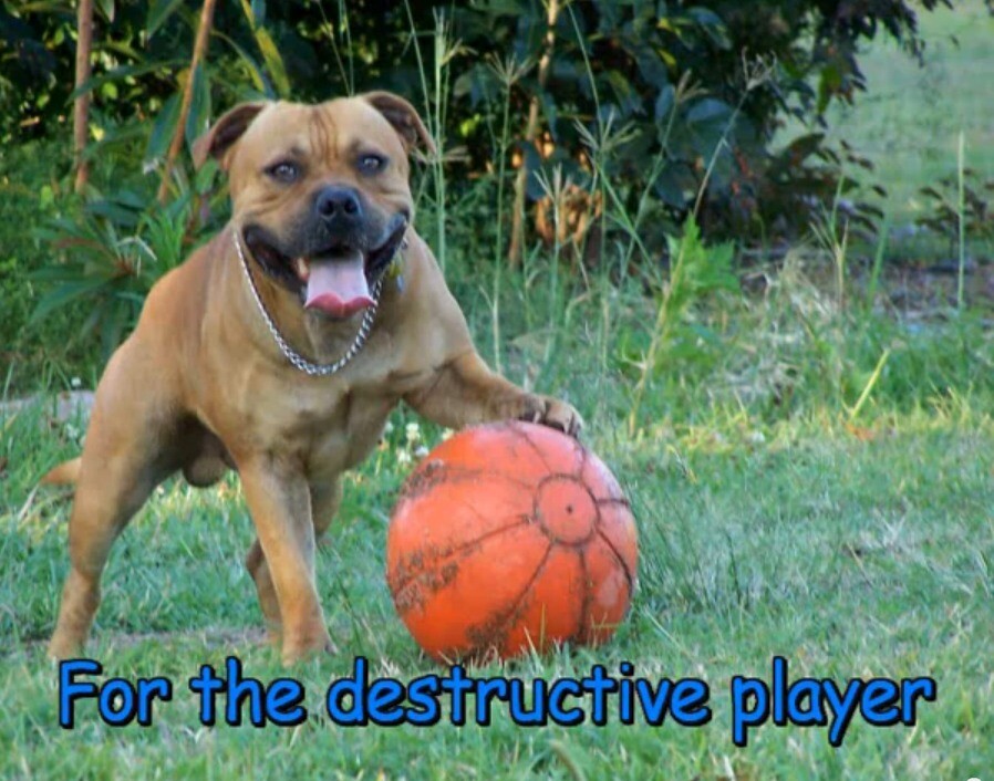 staffy ball ebay