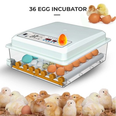 36 Egg Incubator with Auto-Turning, Temperature & Humidity Control Egg Hatcher