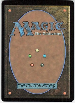 サイン入り Plains マジック：ザ・ギャザリング Plains 267 Secrets of Strixhaven Magic the Gathering | eBay