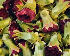 Carnation Buds - Dianthus caryophyllus Organic Dried Flowers TCM Herb 0.5-4 oz